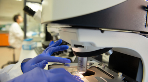  Tirocinio extracurricolare presso il laboratorio di biotecnologie del Museo regionale di Scienze naturali Efisio Noussan